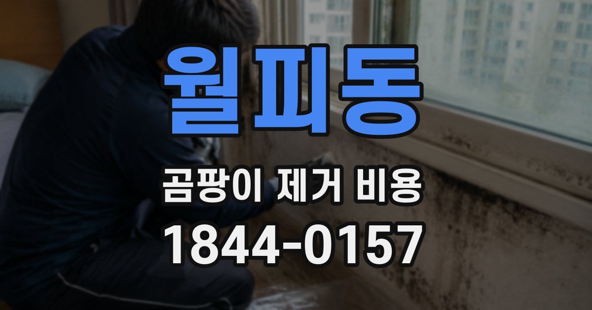 월피동 곰팡이 제거 비용
