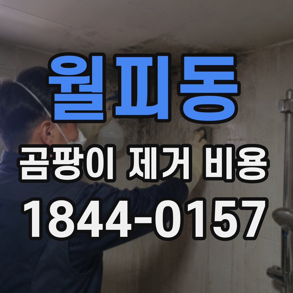 월피동 곰팡이 제거 비용