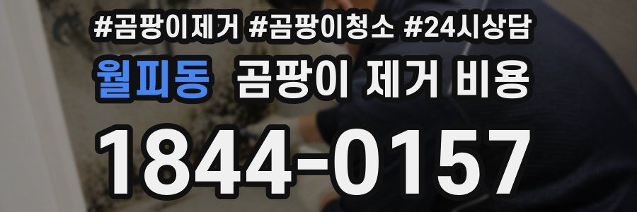 월피동 곰팡이 제거 비용