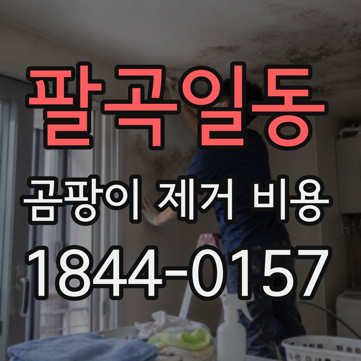 팔곡일동 곰팡이 제거 비용