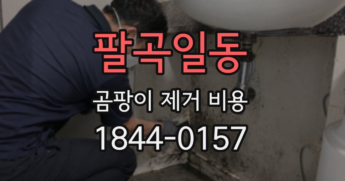 팔곡일동 곰팡이 제거 비용