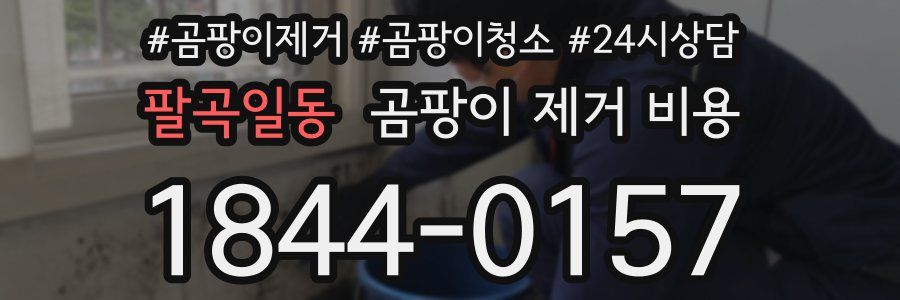 팔곡일동 곰팡이 제거 비용
