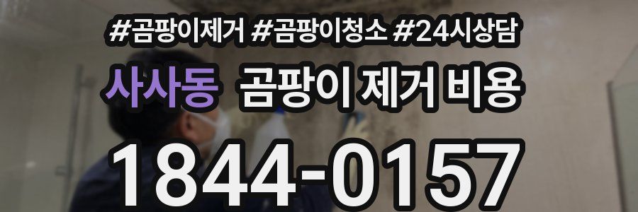 사사동 곰팡이 제거 비용