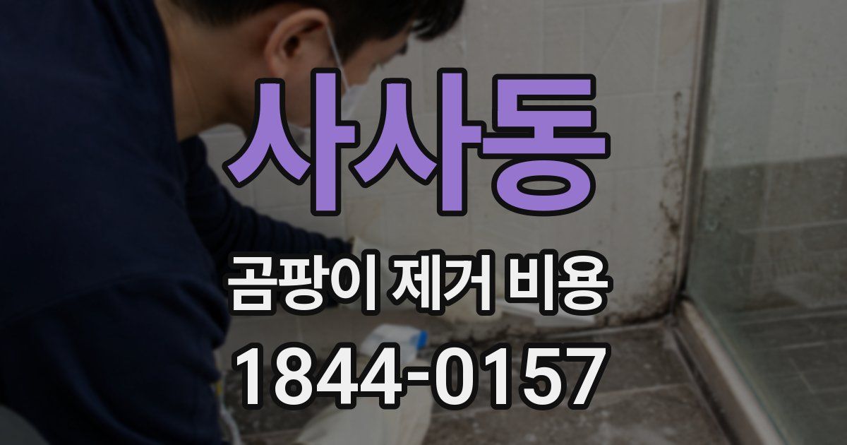 사사동 곰팡이 제거 비용