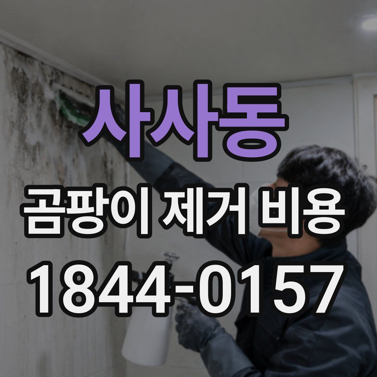 사사동 곰팡이 제거 비용