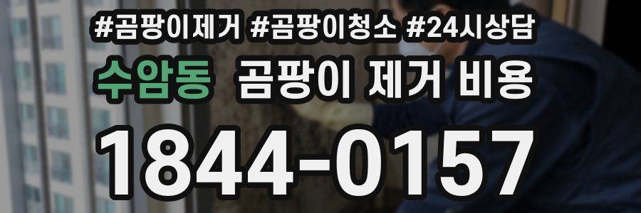 수암동 곰팡이 제거 비용