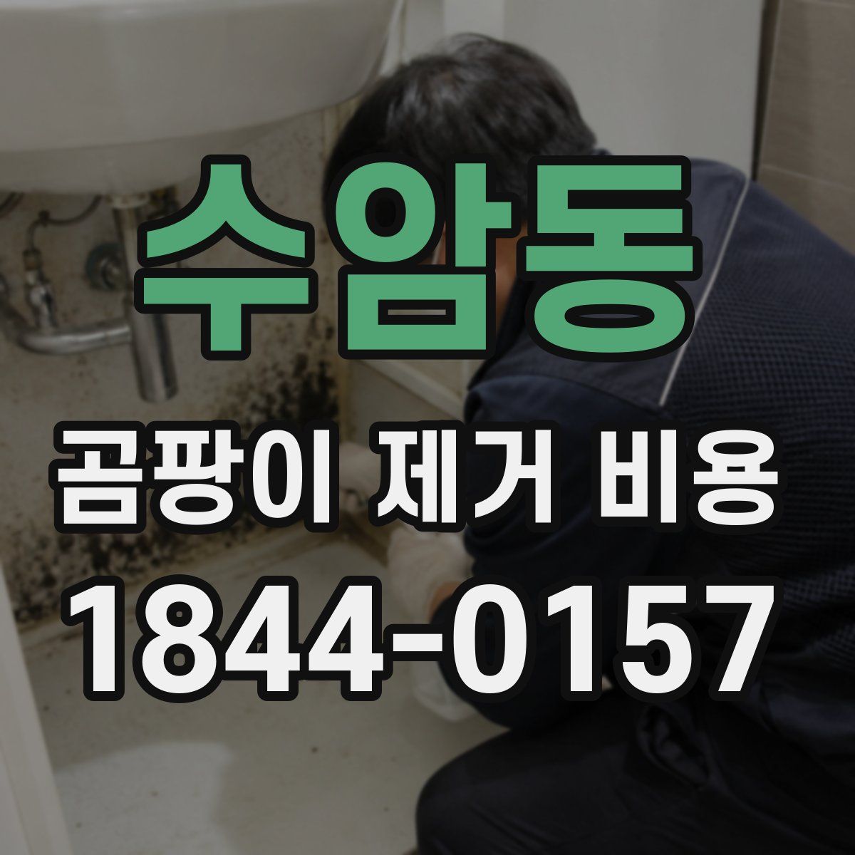 수암동 곰팡이 제거 비용