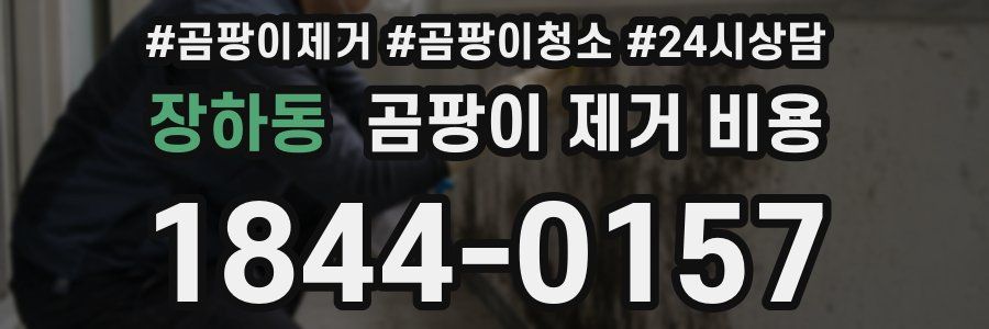 장하동 곰팡이 제거 비용