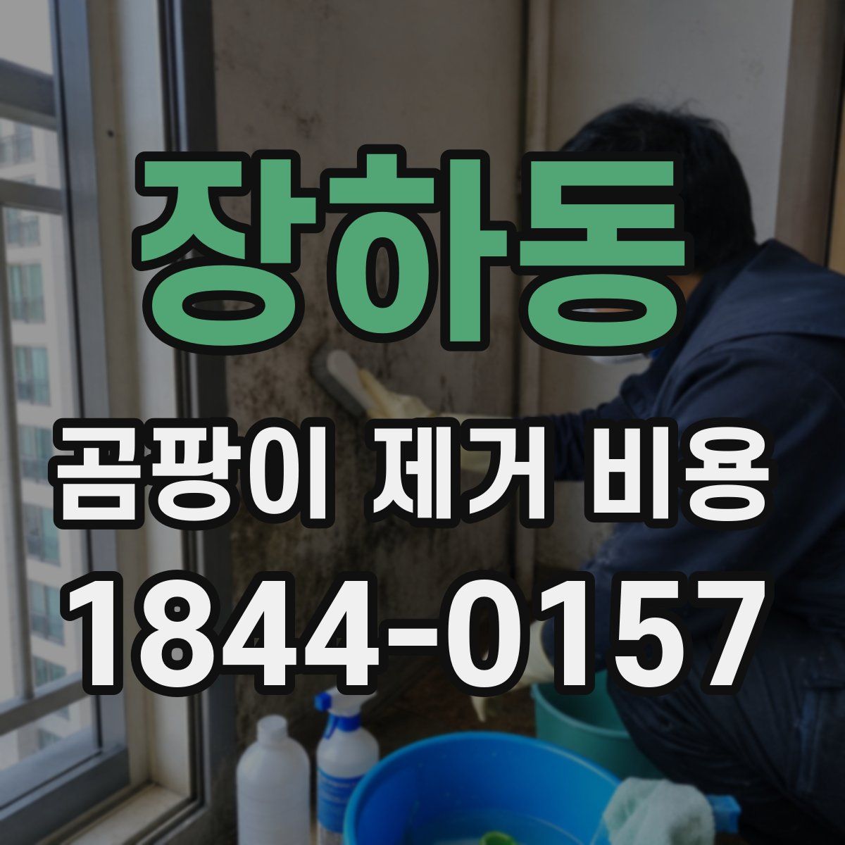 장하동 곰팡이 제거 비용
