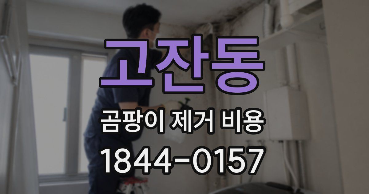 고잔동 곰팡이 제거 비용