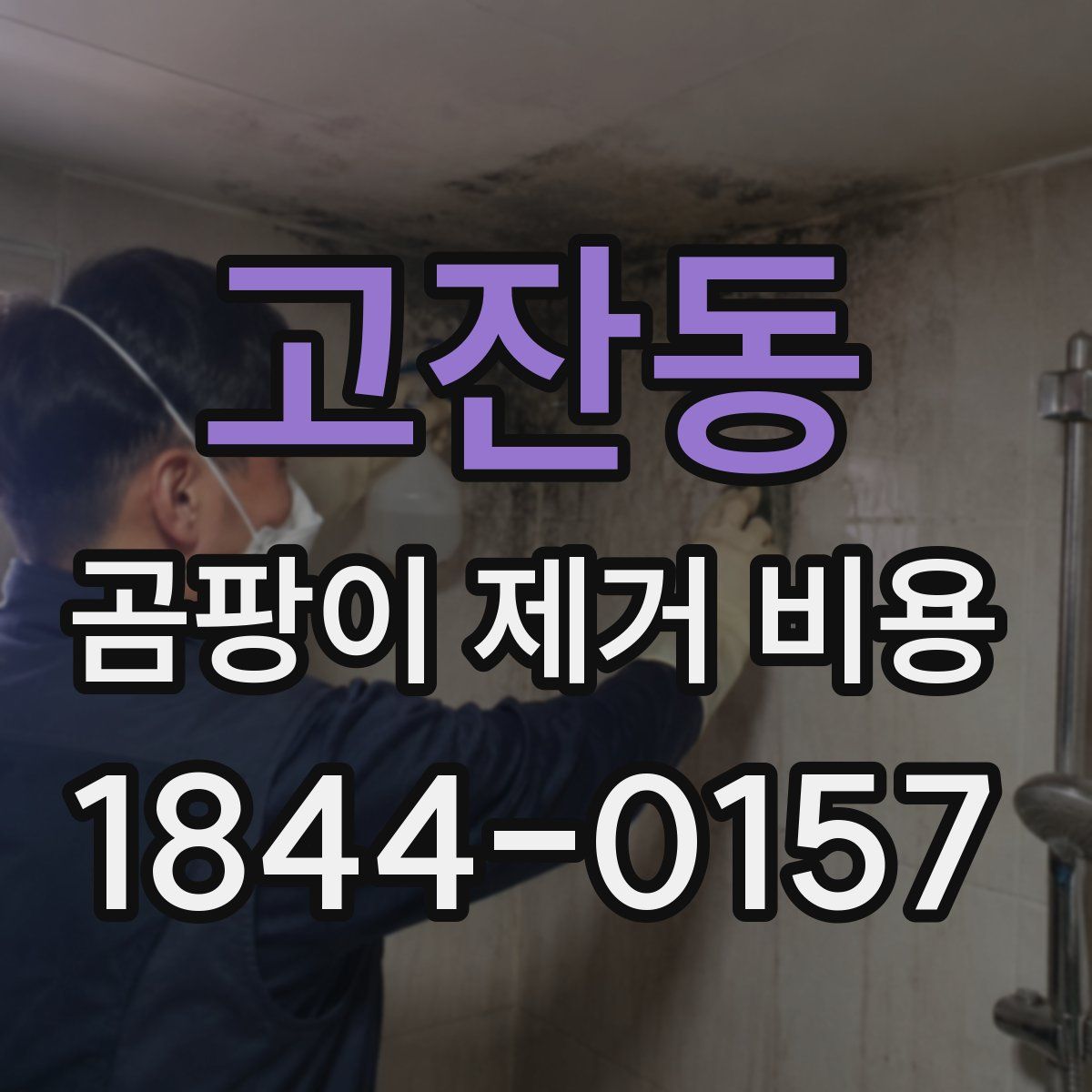 고잔동 곰팡이 제거 비용