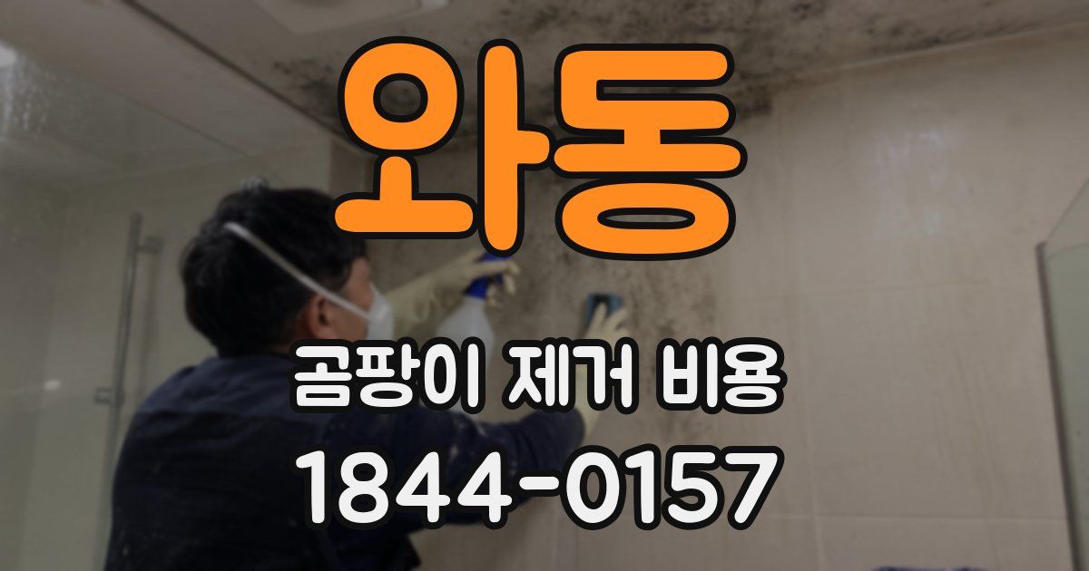 와동 곰팡이 제거 비용