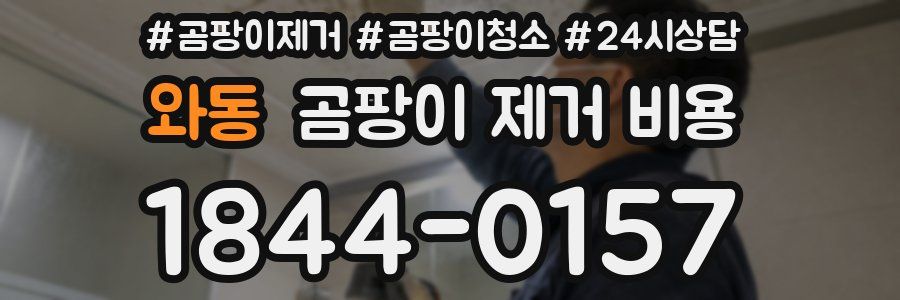와동 곰팡이 제거 비용