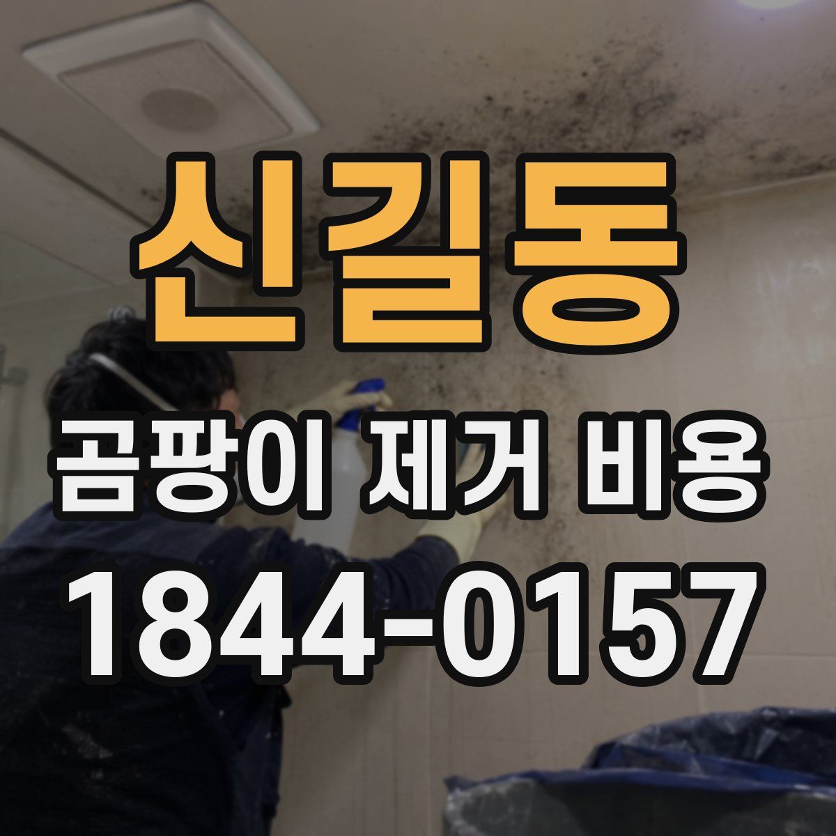신길동 곰팡이 제거 비용