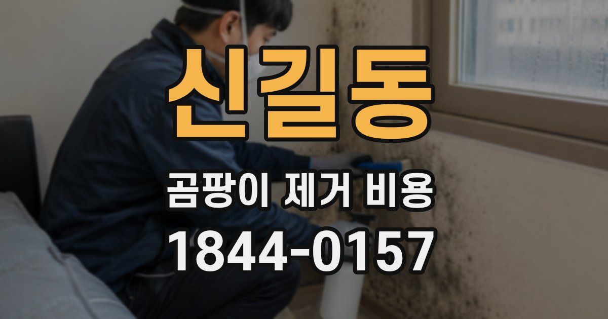 신길동 곰팡이 제거 비용