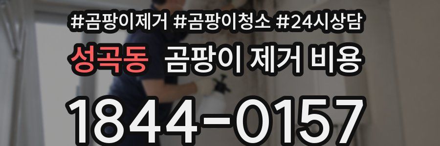 성곡동 곰팡이 제거 비용