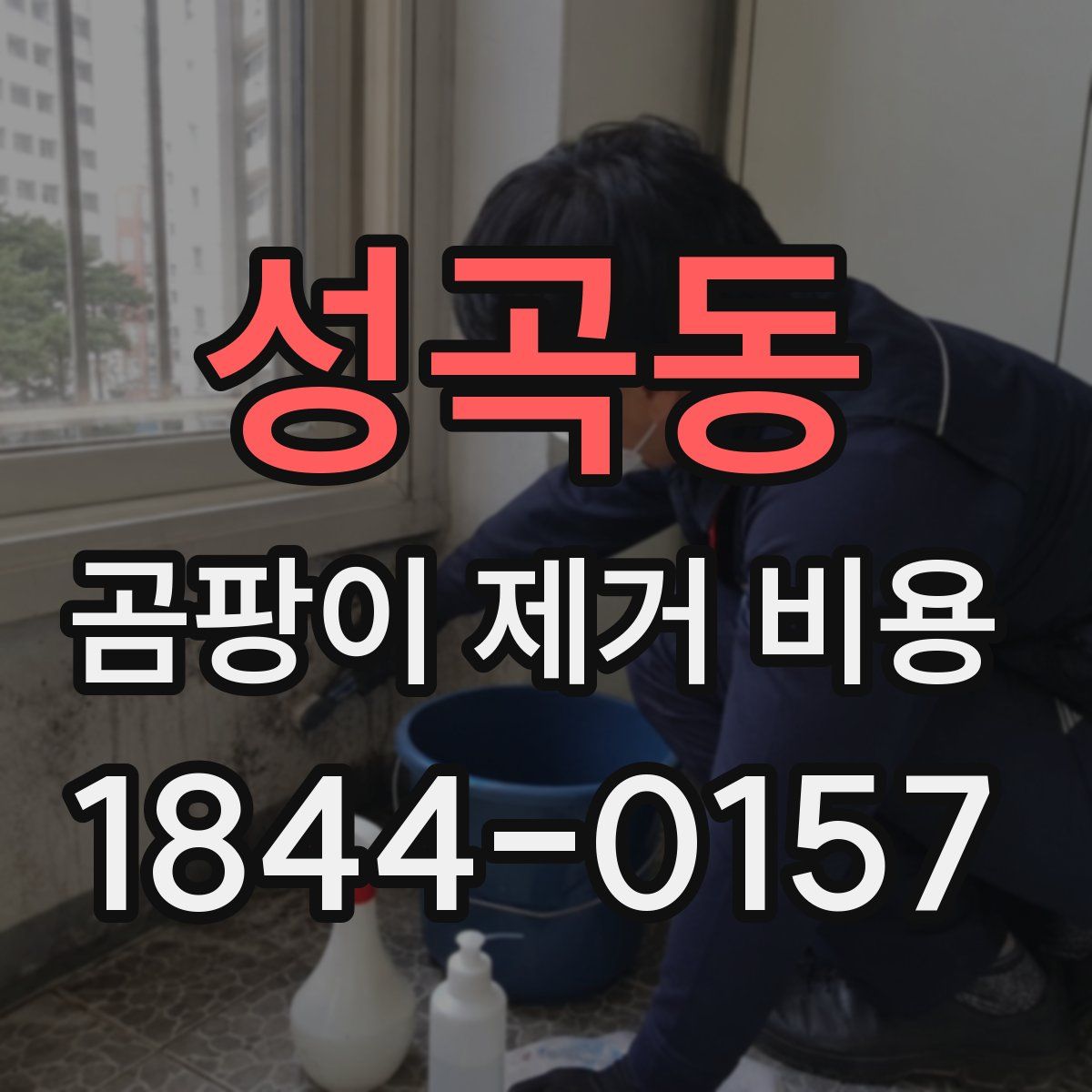 성곡동 곰팡이 제거 비용