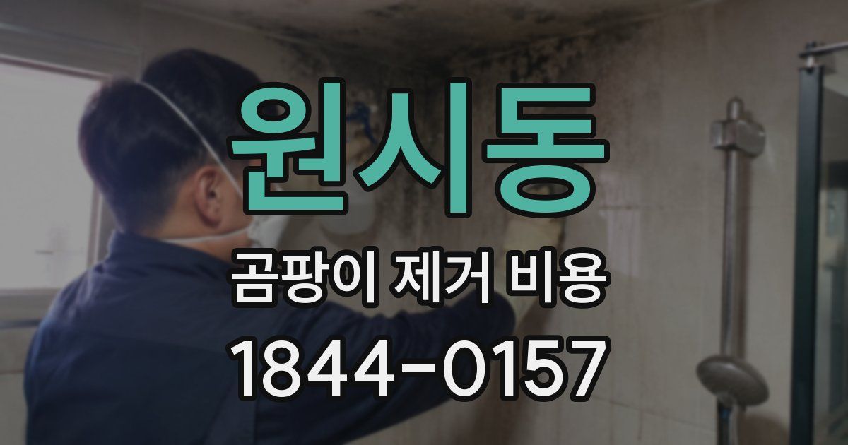 원시동 곰팡이 제거 비용