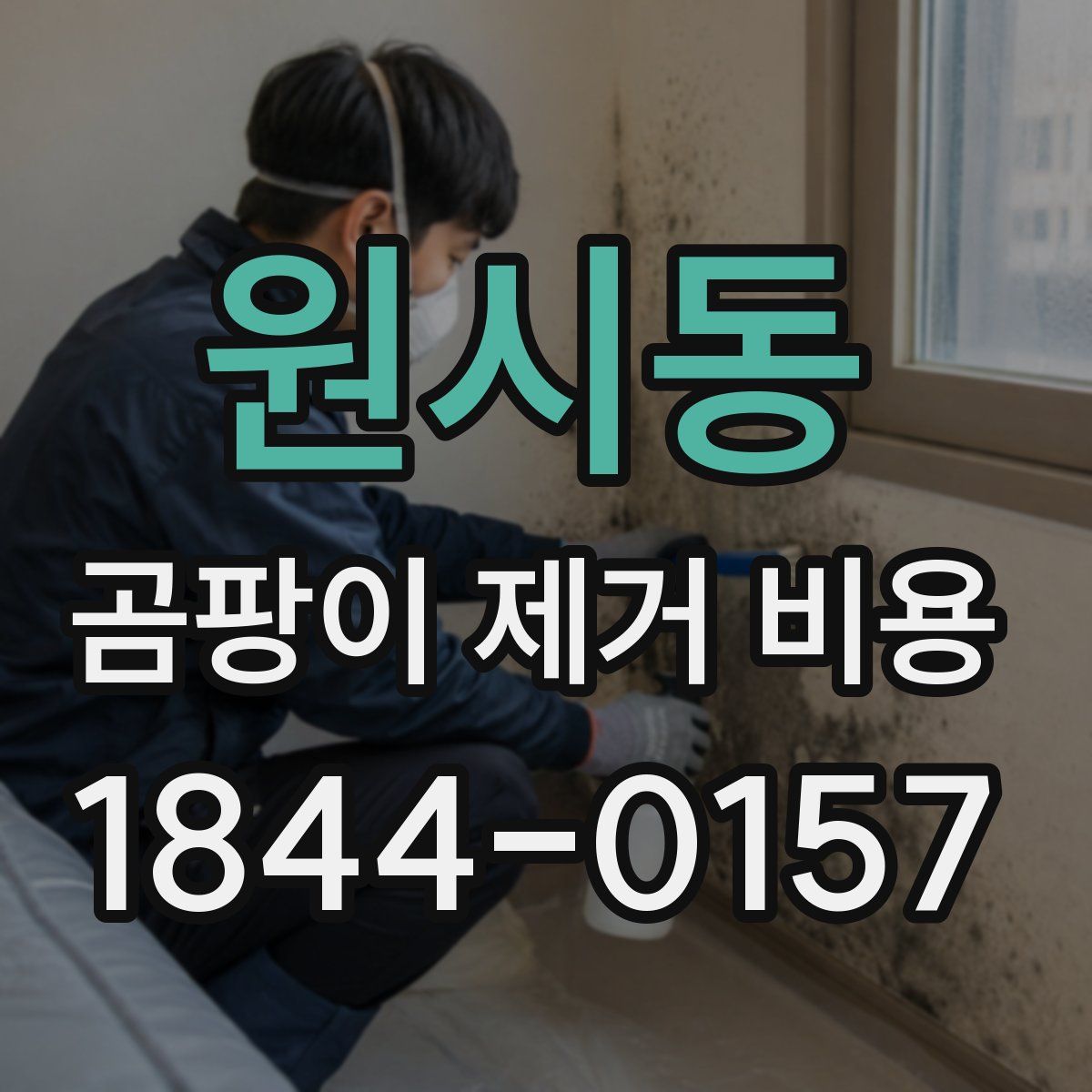 원시동 곰팡이 제거 비용