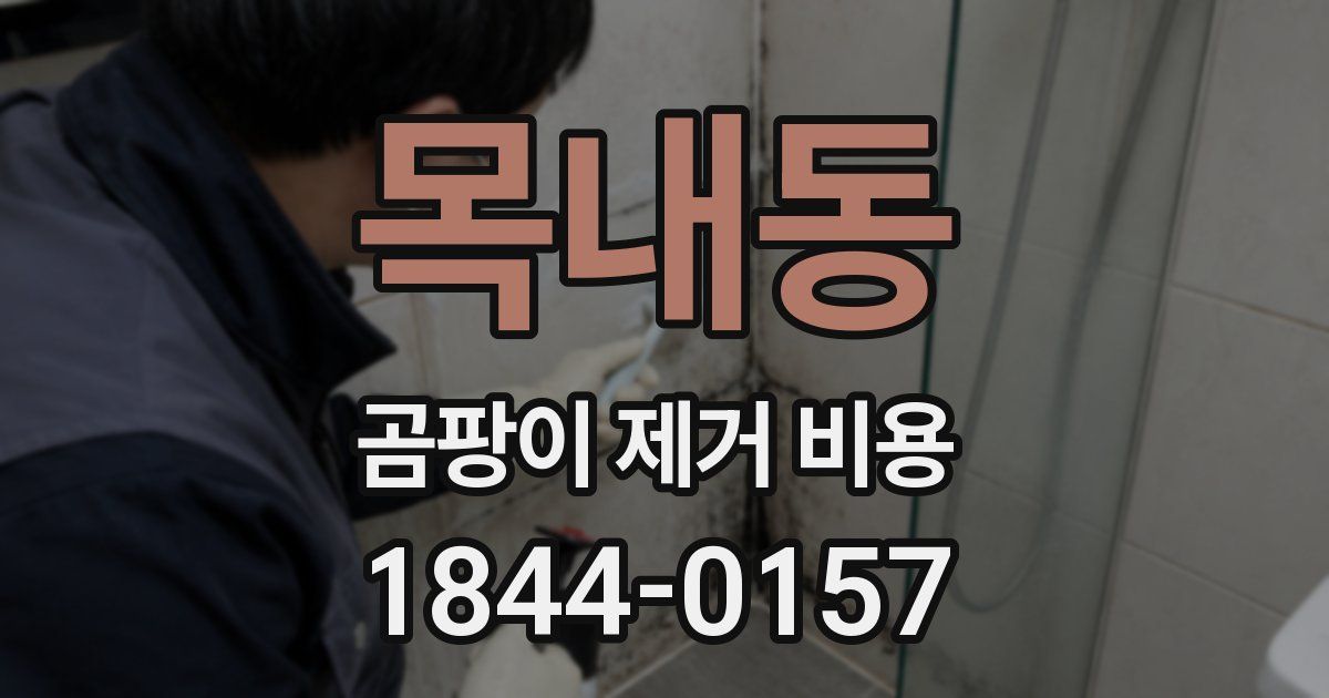 목내동 곰팡이 제거 비용