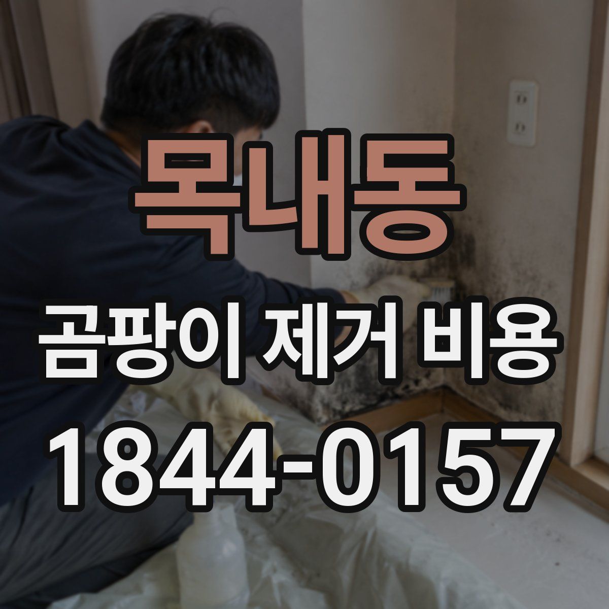 목내동 곰팡이 제거 비용