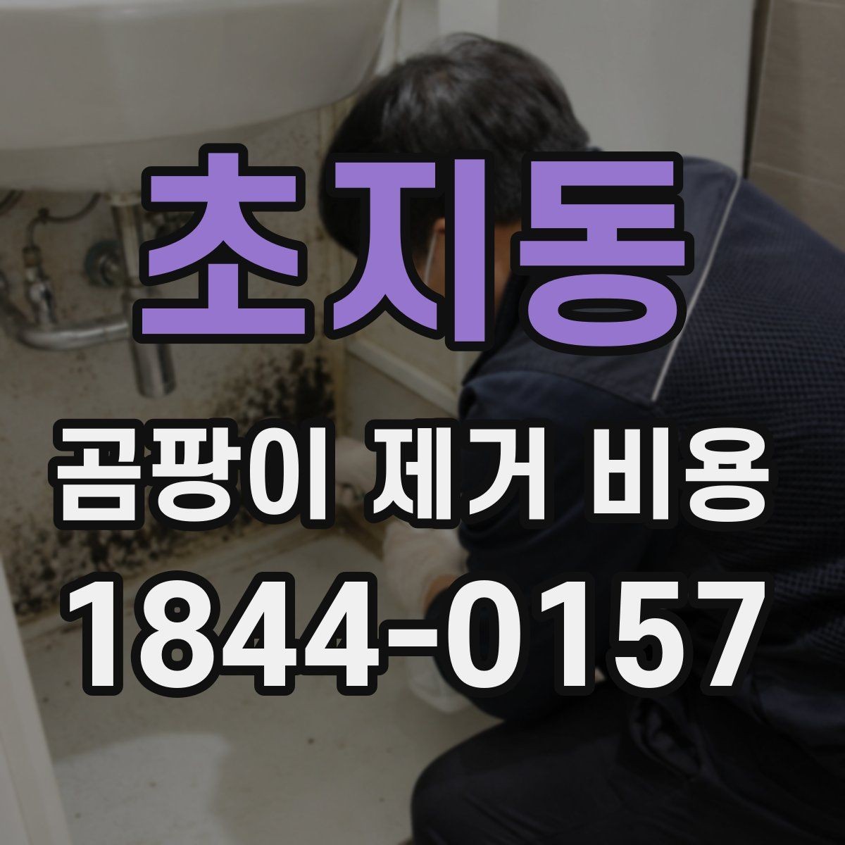 초지동 곰팡이 제거 비용 제거 후 환기와 관리까지 고려한 준비