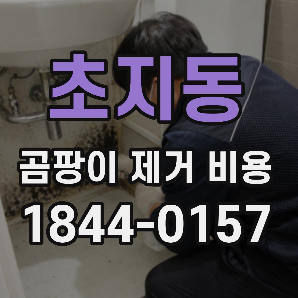 초지동 곰팡이 제거 비용