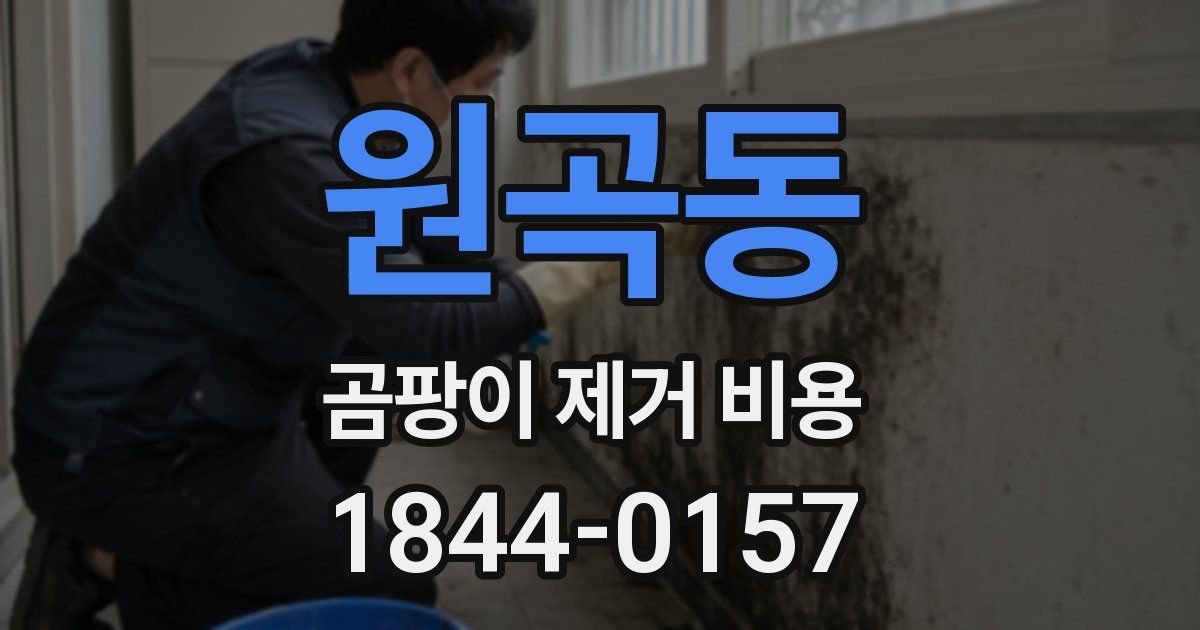 원곡동 곰팡이 제거 비용