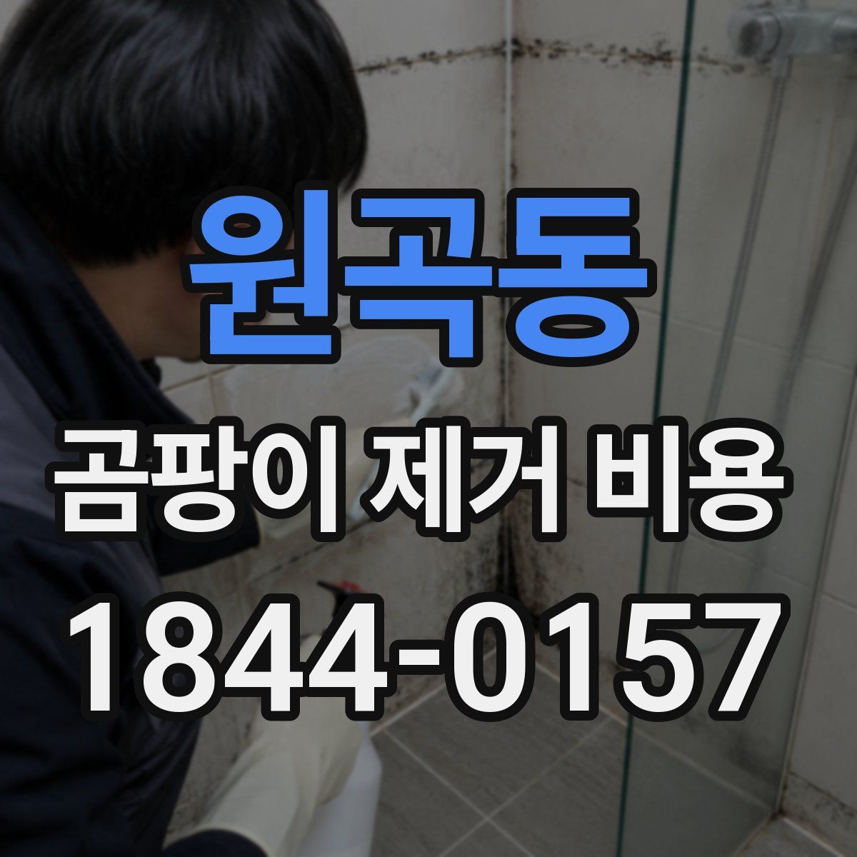 원곡동 곰팡이 제거 비용