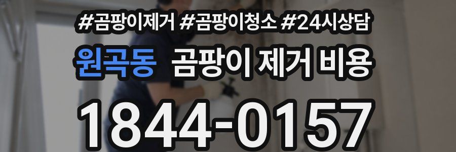 원곡동 곰팡이 제거 비용