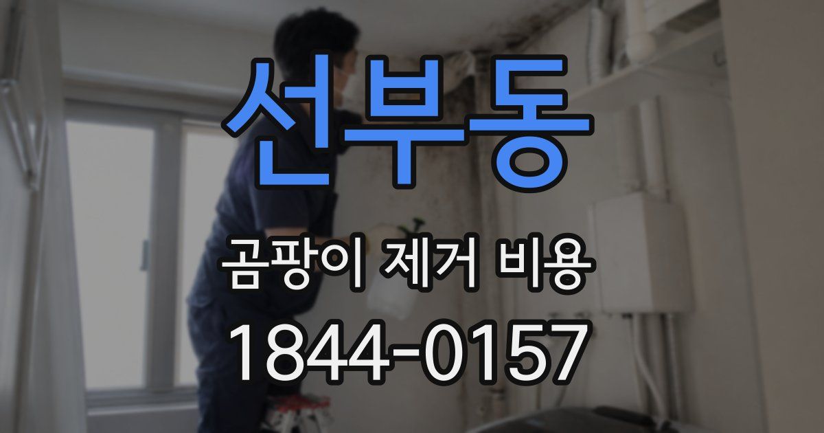 선부동 곰팡이 제거 비용