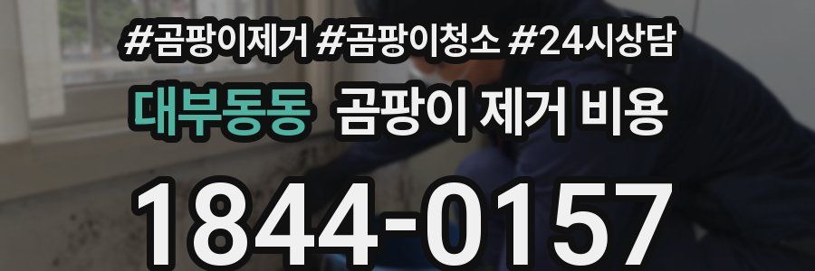 대부동동 곰팡이 제거 비용