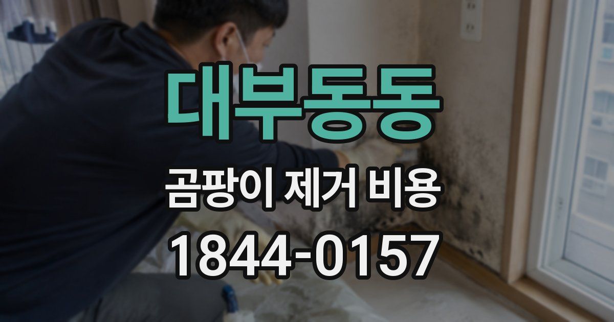 대부동동 곰팡이 제거 비용
