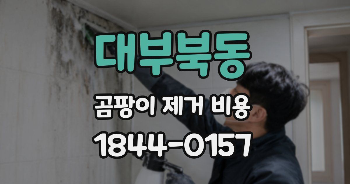 대부북동 곰팡이 제거 비용