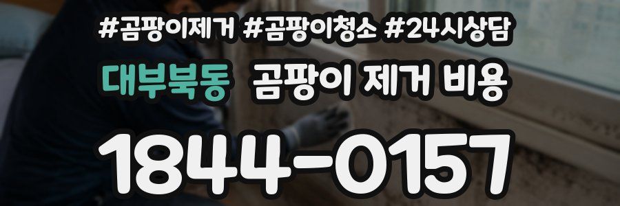 대부북동 곰팡이 제거 비용