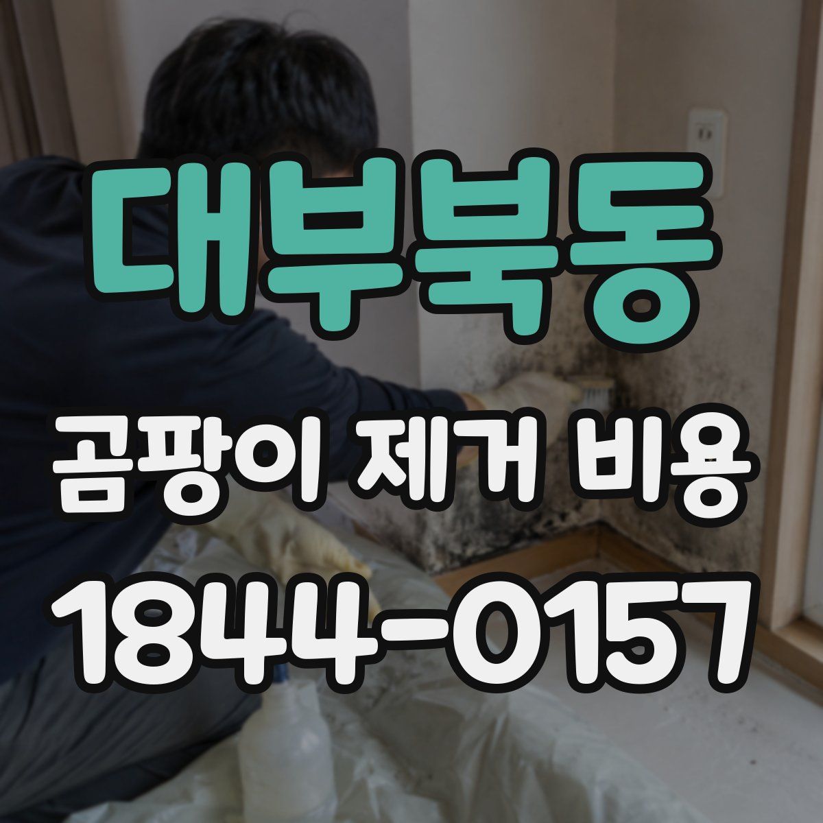 대부북동 곰팡이 제거 비용