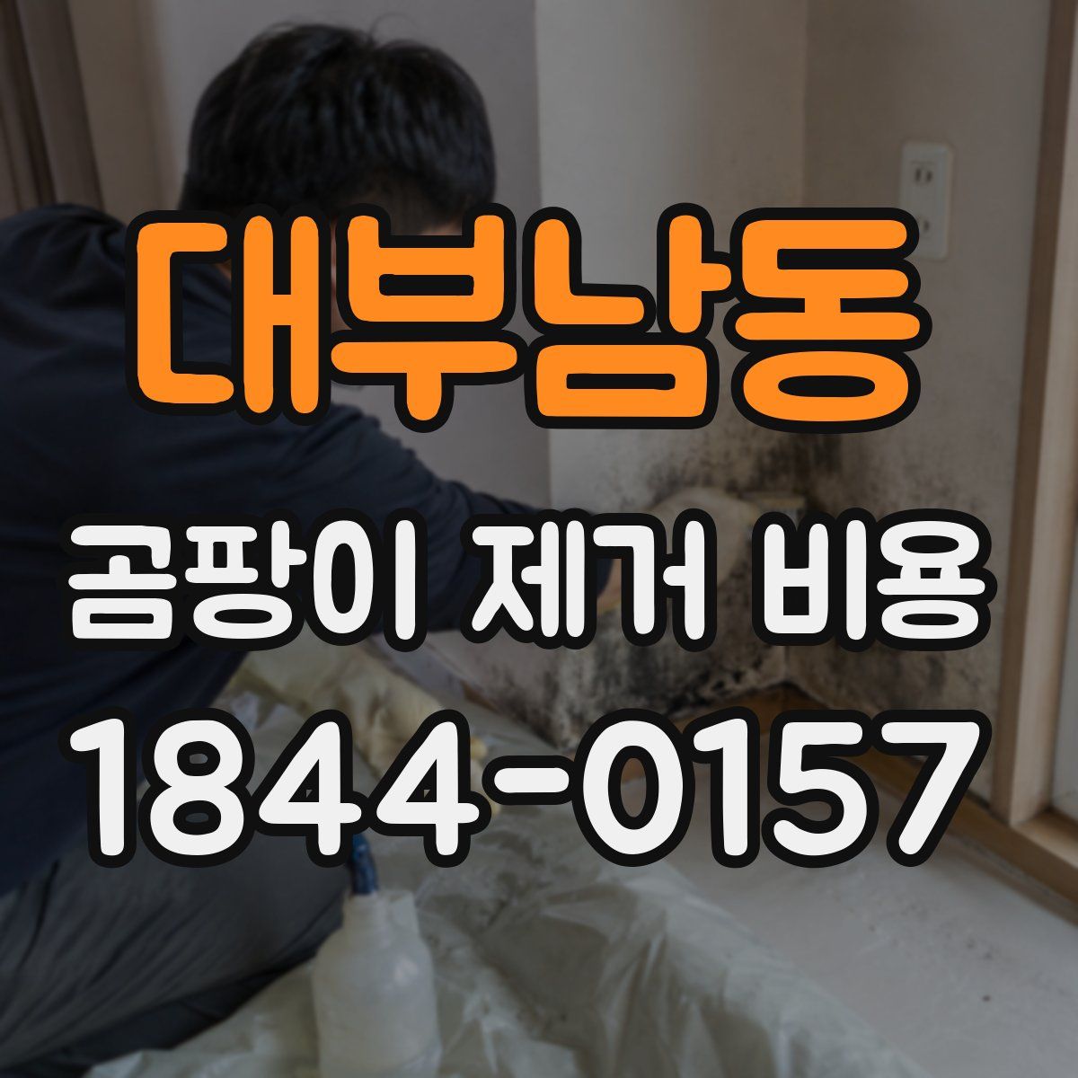 대부남동 곰팡이 제거 비용
