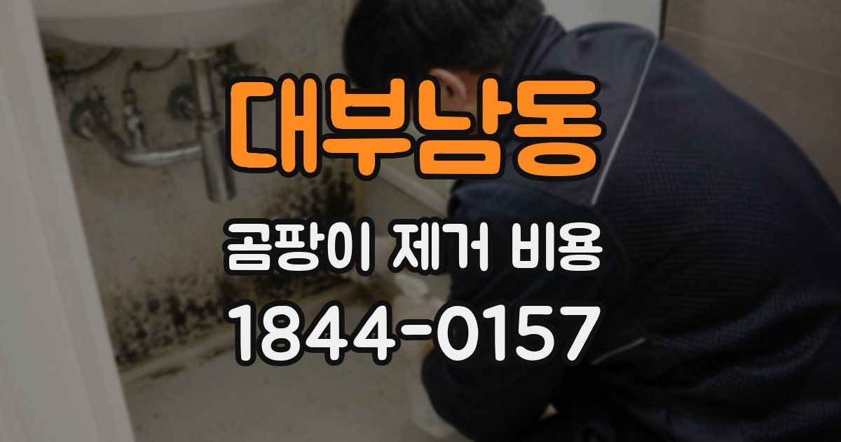 대부남동 곰팡이 제거 비용