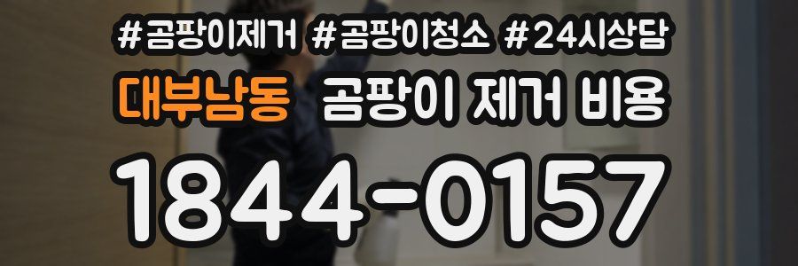 대부남동 곰팡이 제거 비용