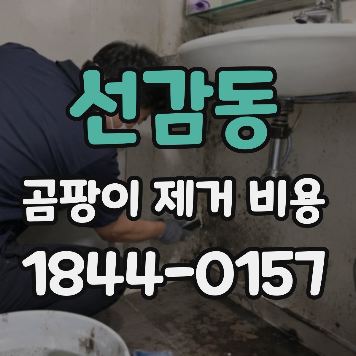선감동 곰팡이 제거 비용 현장 조사에서 빠지면 안 되는 항목