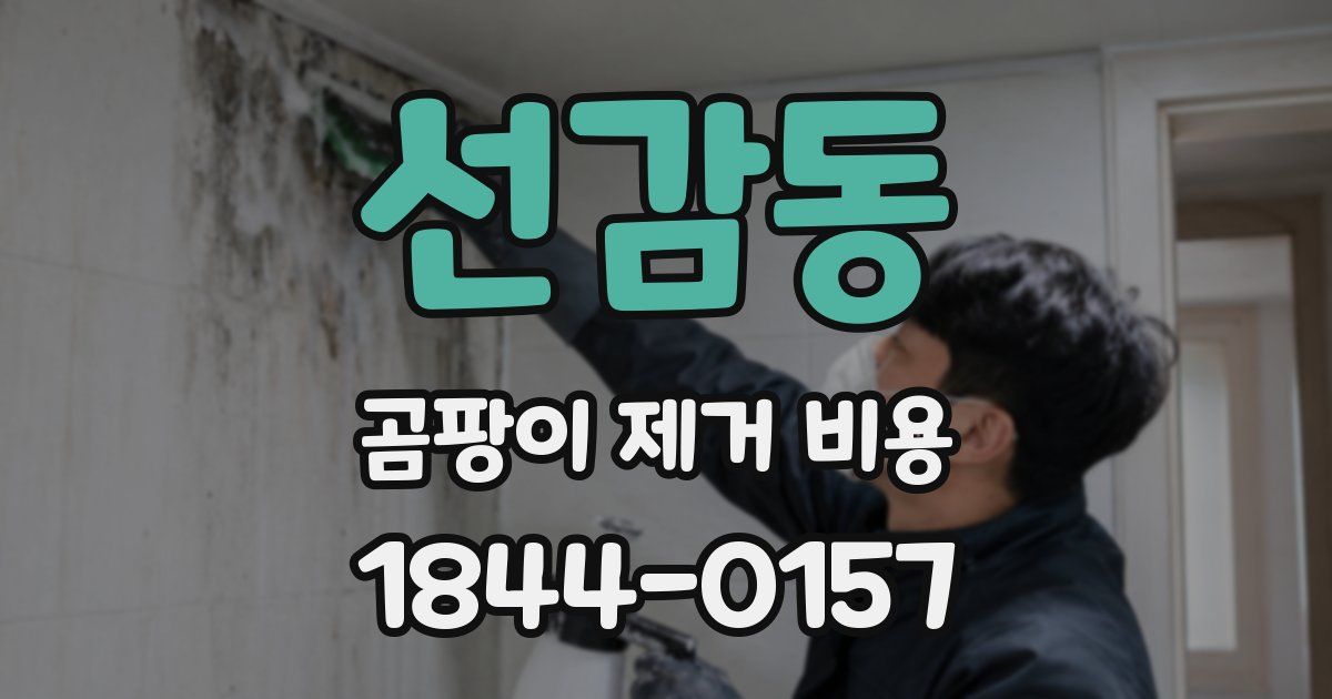 선감동 곰팡이 제거 비용