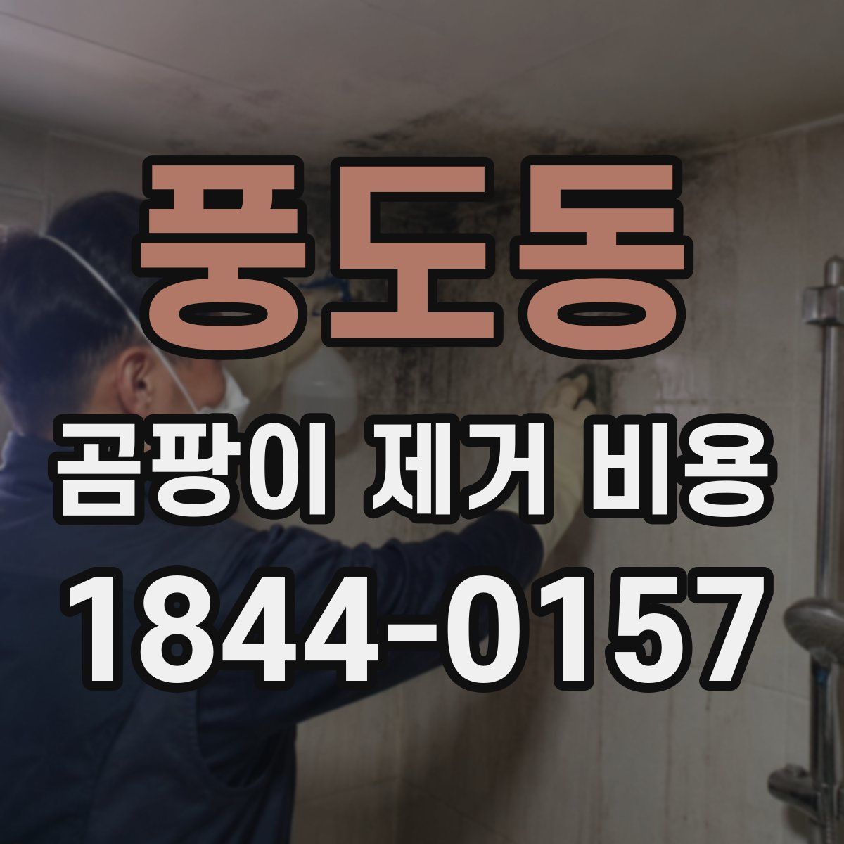 풍도동 곰팡이 제거 비용