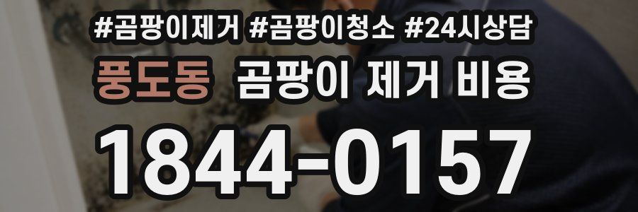 풍도동 곰팡이 제거 비용