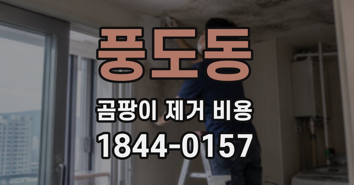 풍도동 곰팡이 제거 비용