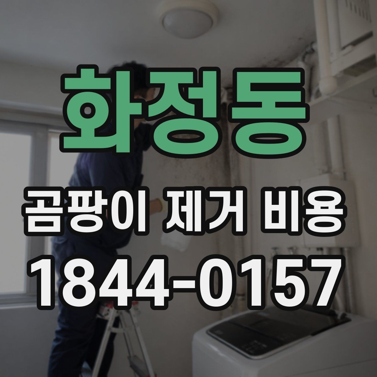 화정동 곰팡이 제거 비용 공용부 민원을 줄이는 공사 진행 방법