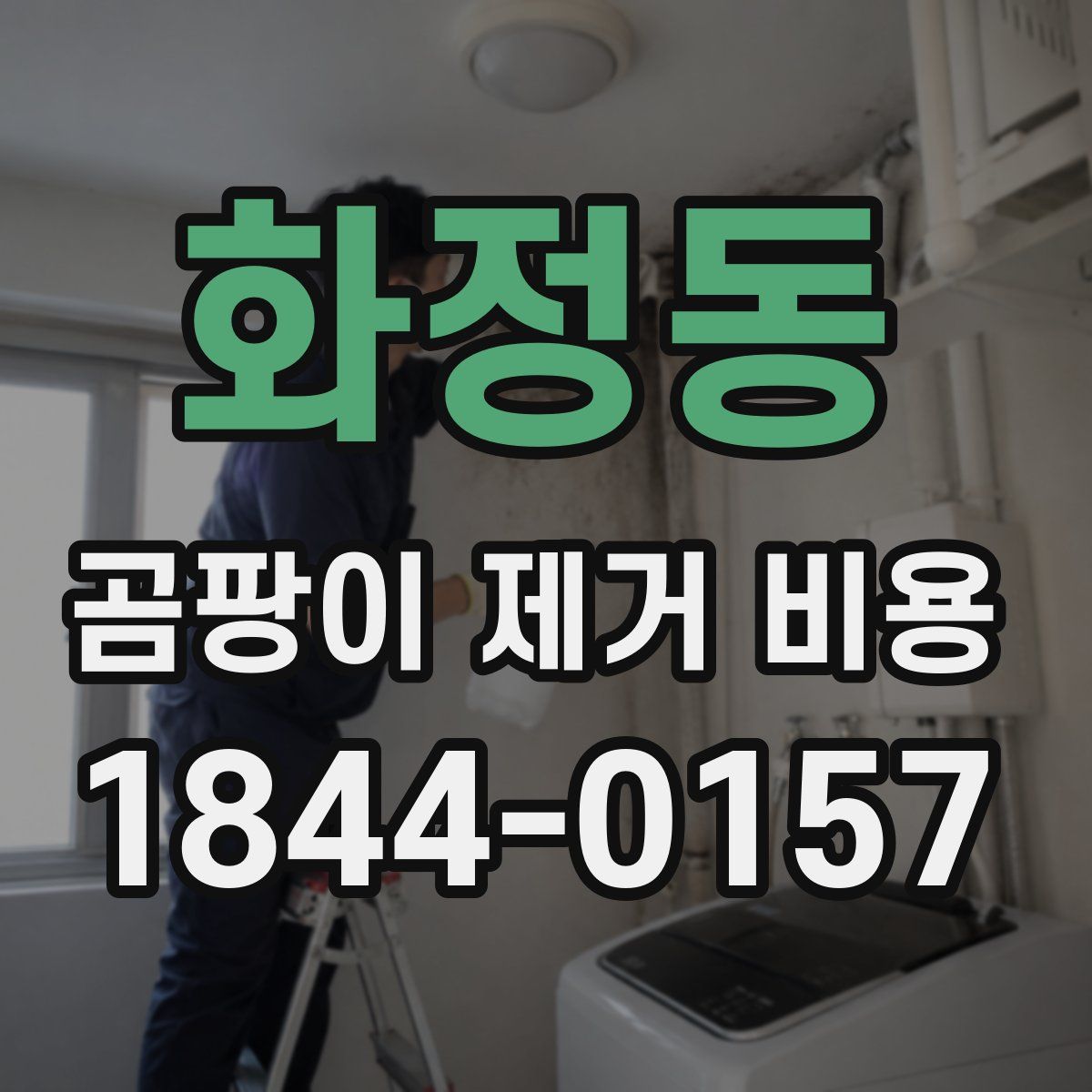 화정동 곰팡이 제거 비용