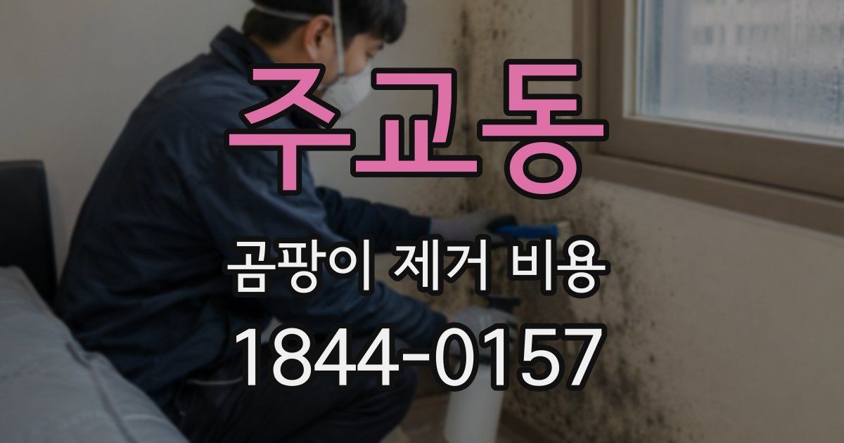 주교동 곰팡이 제거 비용