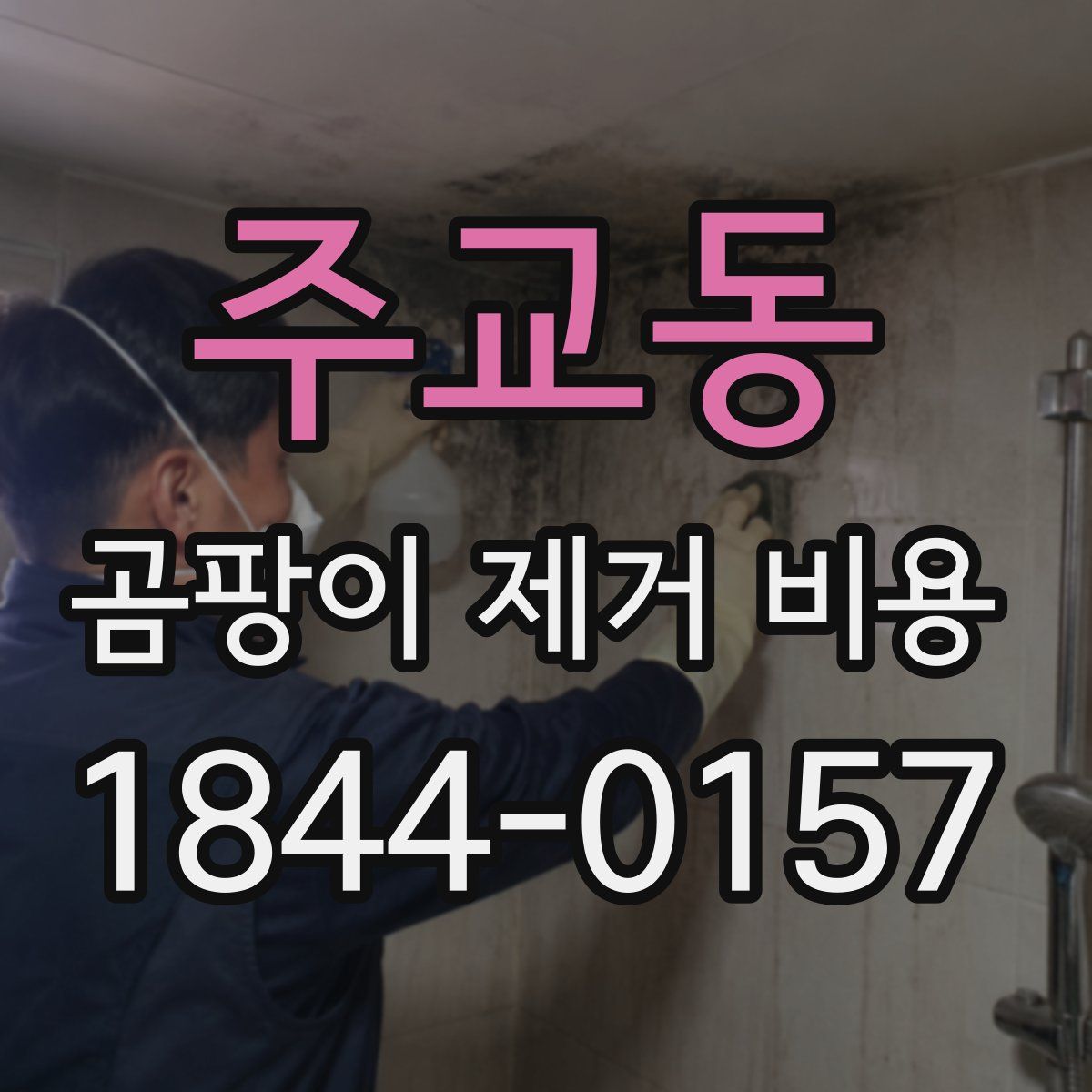 주교동 곰팡이 제거 비용