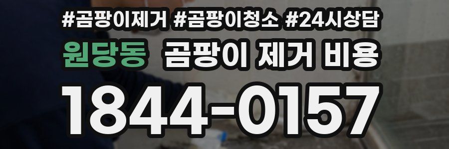 원당동 곰팡이 제거 비용