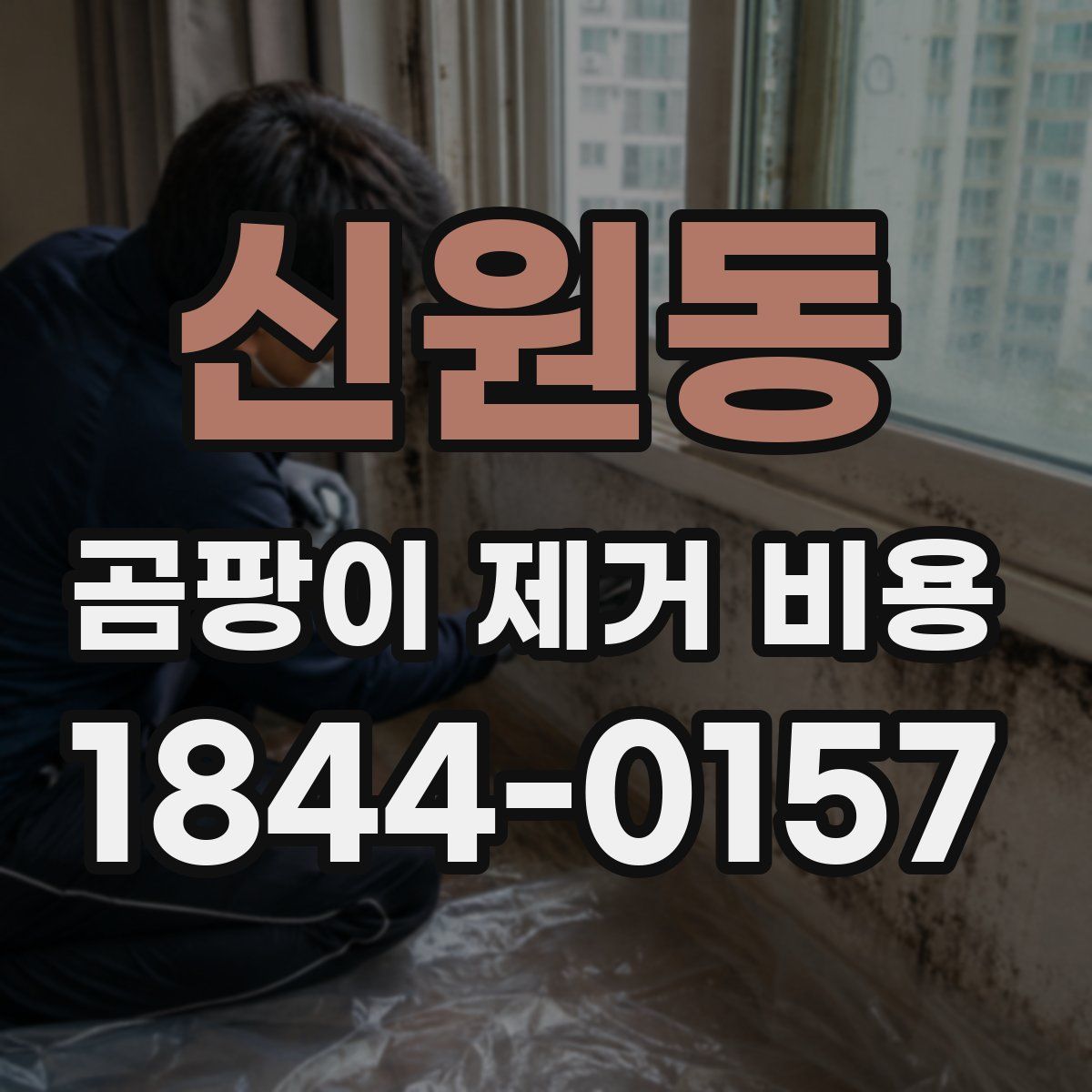신원동 곰팡이 제거 비용